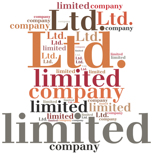 PRIVATE COMPANY LIMITED BY SHARES: MrDHUKKAD